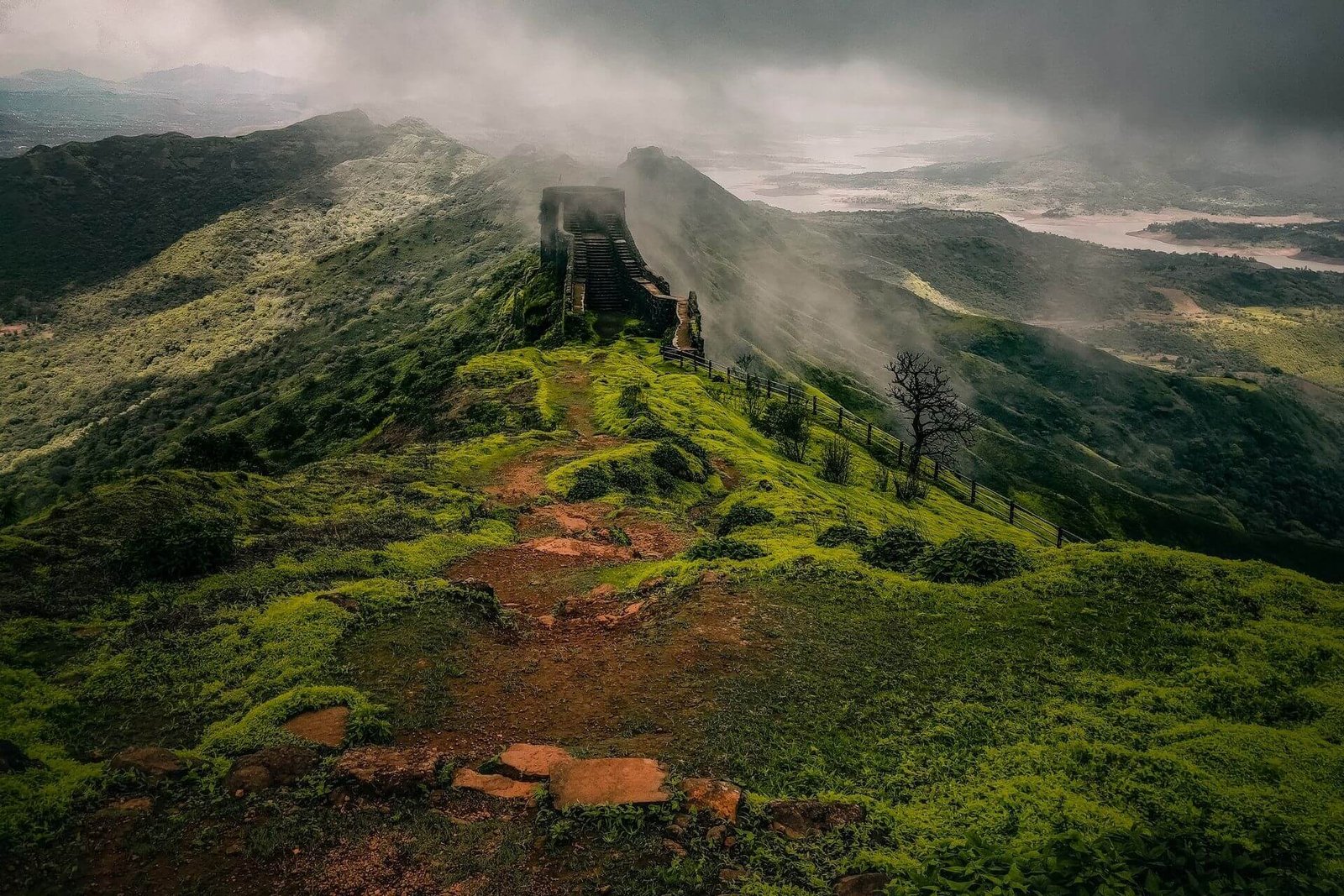 book your Force Urbania Pune to Mahabaleshwar