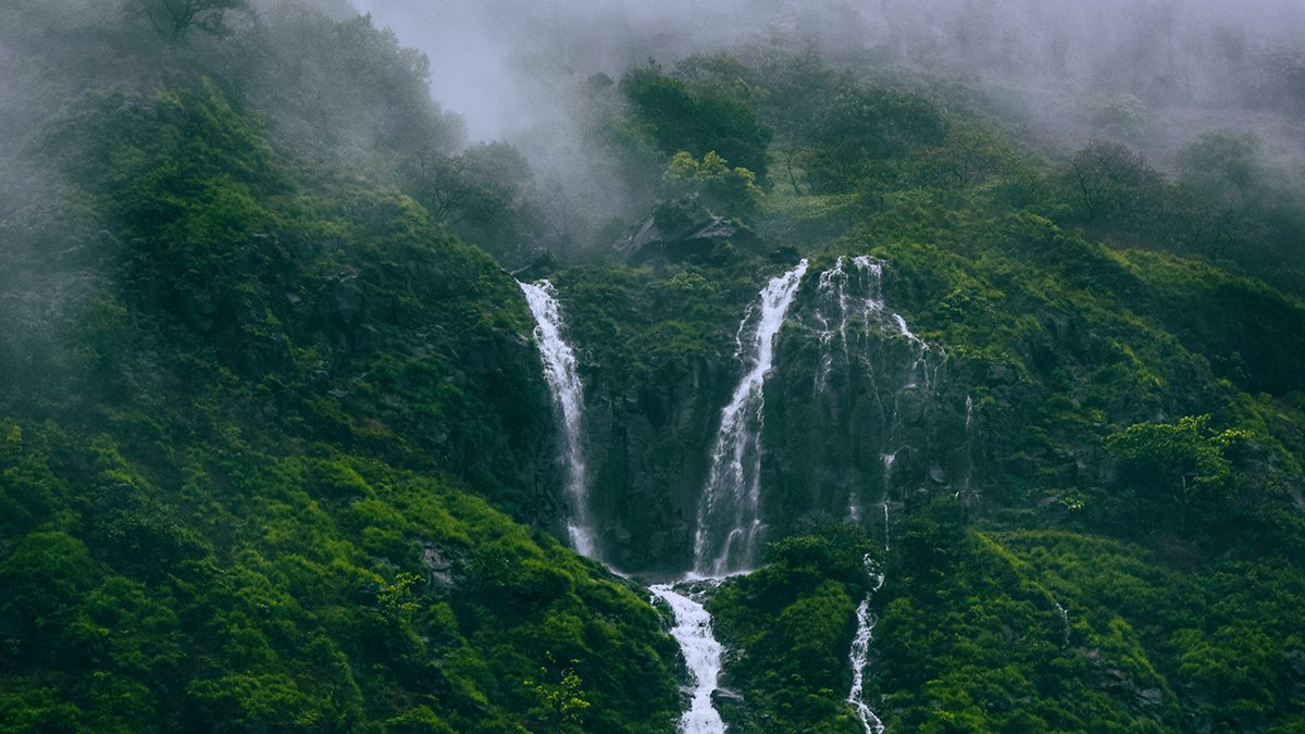 Affortable Trip With force Urbania